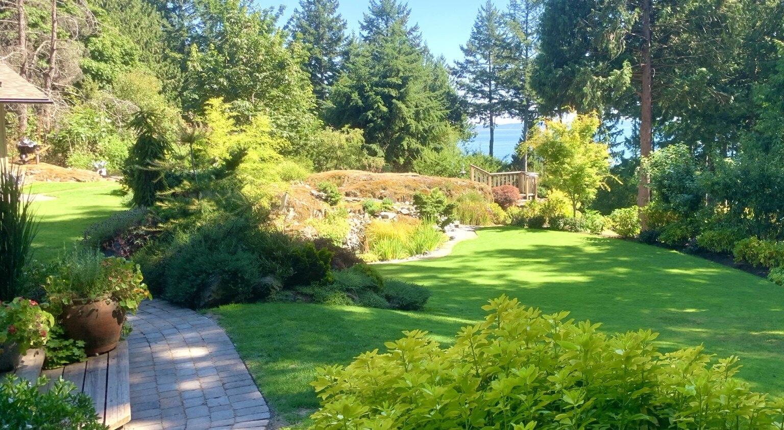 Irrigated residential lawn and planted garden on a coastal North Shore property