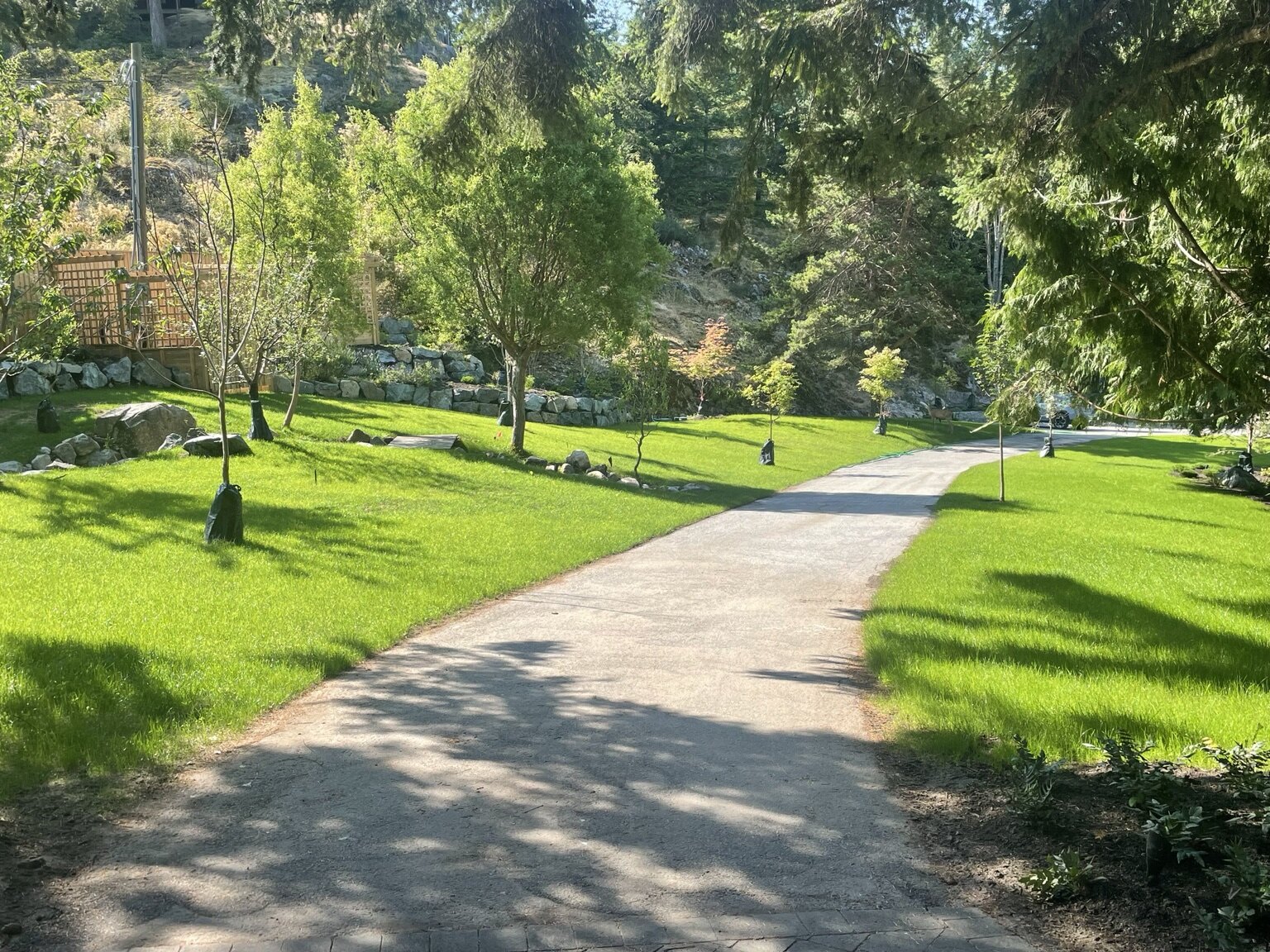 Expansive irrigated lawn and young trees on a wooded residential property